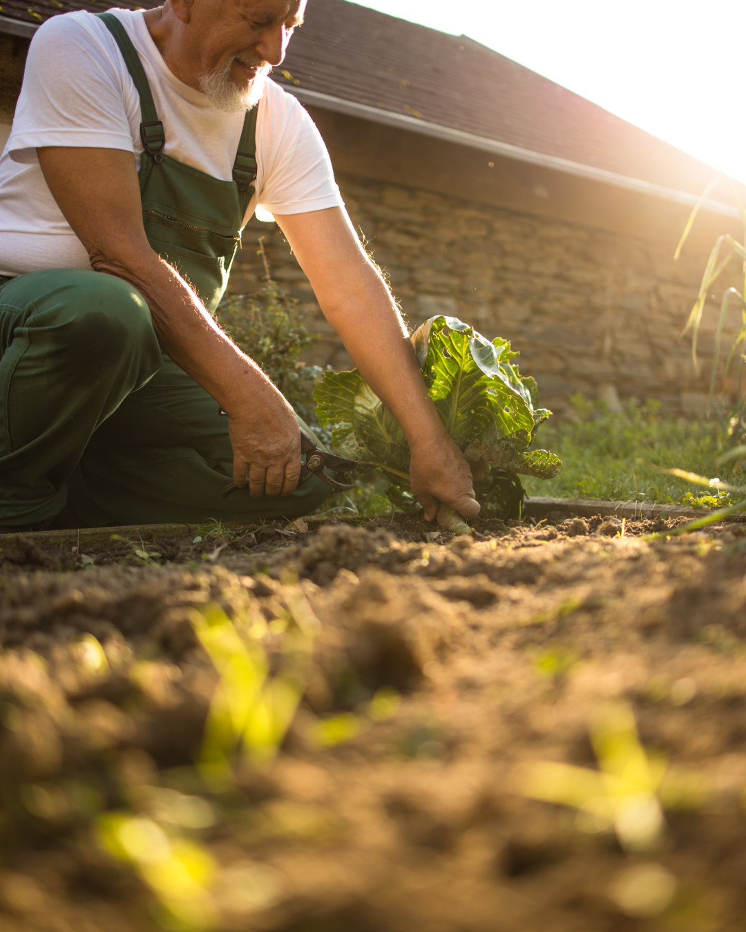 Sun, Soil, and Skin: The hidden UV risks of your favourite hobby